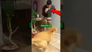 Never play this song for your dog 😱😳 