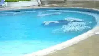Tropical Storm Gustav