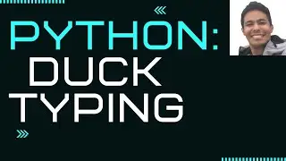 Duck Typing in Python