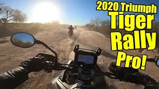 2020 Triumph Tiger Rally Pro