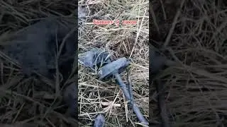 поиск метала