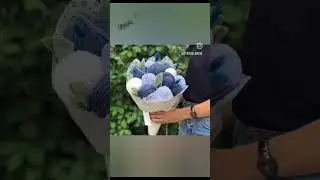 Вязальщица это...