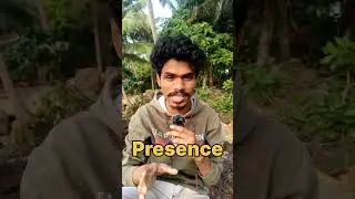 Why Business Need to Make More Content | Instaniin | Instagram marketing Malayalam