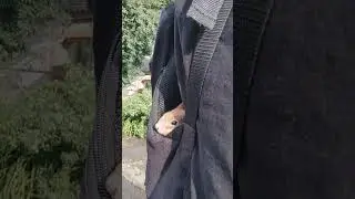 Білчення Пікачу. Втомився після прогулянки / Squirrel Pikachu  is tired after a walk