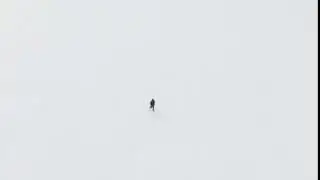 nobody