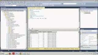 SQL Server Tutorial 28: Using the WHERE clause with multiple conditions