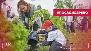 Дети верят в чудо: #посадидерево
