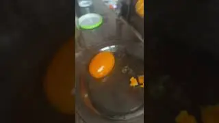 Чем заняться в воскресенье когда тебе не куда не надо?