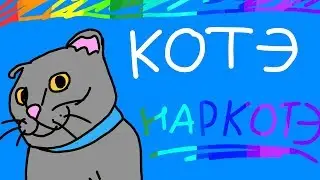 СИКМАН – МОЙ КОТ