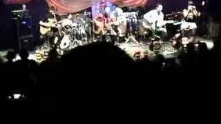 los chanchos en la scd 5