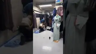 Бои без правил