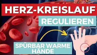 Herz-Kreislauf mithilfe der TCM regulieren - Sofort warme Hände