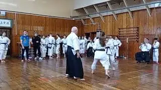 куміте Тарасенко Софія 4