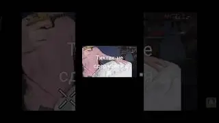вот как появляются грибы