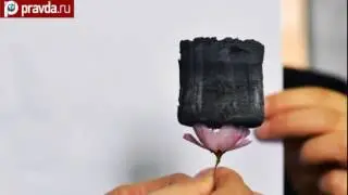 Самый легкий материал в мире  Графен