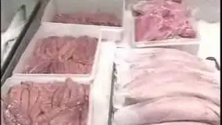 Behind the Fulton Fish Market
