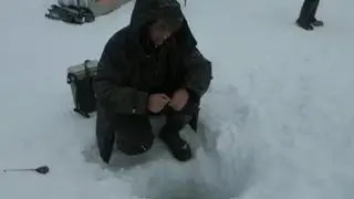Диалоги о рыбалке. Енисейский налим