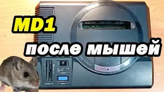Клон SEGA MD1 после мышей !!!