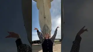 Самолет в Дагестане