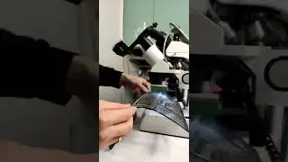 ГРЯЗЬ ИЗ КОНДИЦИОНЕРА ПОД МИКРОСКОПОМ