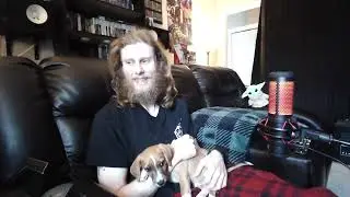 Puppy Crashes Diablo 4 Live Stream