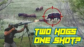 Hog Hunting with the 50 BMG! Ligamec Corp/Big Kahuna Guns Raptor 50!