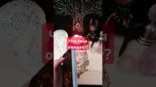 Что тебя ожидает? #таро #shortsvideo #гадание #тароонлайн #гаданиеонлайн #расклад #ленорман #tarot