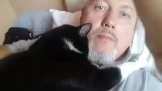 Мусик, это не просто кот, а самый красивый кот 2