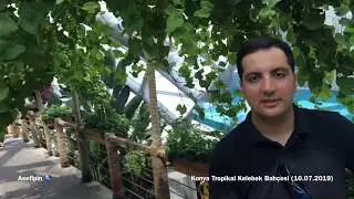 Konya Tropikal Kelebek Bahçesini Gezdik