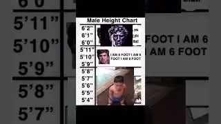 Height chart | #short #meme #lol #funny