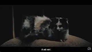 Смыслы есть
