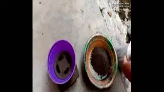 HOW TO MAKE BONSAI POT EASY AND SIMPLE USING PLASTIC BOWL AND CEMENT