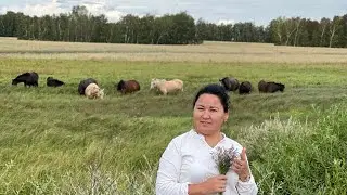 Алғашқы миллионымды қалай таптым?!