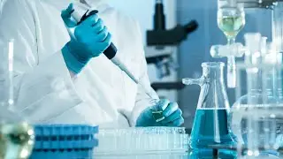 Тестирование кормов. Новое на канале.