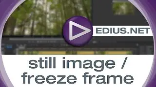 EDIUS.NET Podcast - still image/ freeze frame