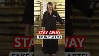 Why You NEED to STAY AWAY from FAKE MARTIAL ARTS TRAINING 
