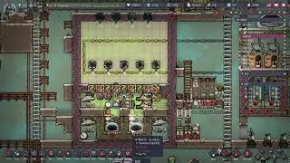 (Renewal) Rust Deoxidizer with naturally grown Dasha Saltvine setup