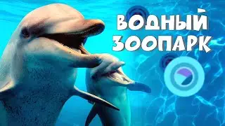 Water Zoo. Episode 3
