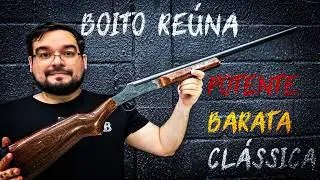12 COCKROACHES in Brazil 🇧🇷 Is Boito Reúna Good for Defense?