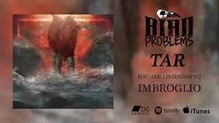 Bird Problems - Imbroglio