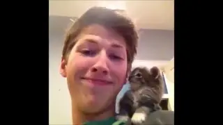 Los Mejores Videos de Gatos Recopilación Gatos Graciosos