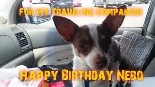 Free Camping Companion for Seven Years