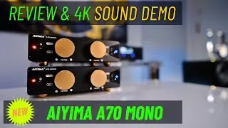 Aiyima A70 Mono New Class D Mono Amps