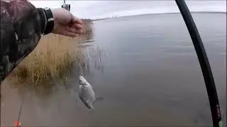рыбалка.Зимний фидер!Варим хашламу в палатке!