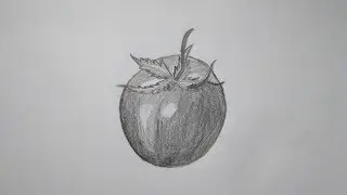 how to draw a tomato step by step and easy