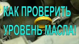 Как проверить уровень масла ДВС в автомобиле Тойота Приус 10, 11