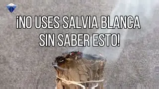 ¡No Uses Salvia Blanca sin Saber Esto! Propiedades Mágicas y Rituales