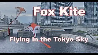 Fox Kite, Flying in the Tokyo Sky　凧のFOXと東京の空で遊びました！