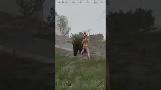 What The Bear Doin'? 