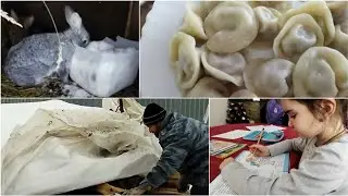 Деревенские будни/Наше зимнее утро/Что лучше🤔кролики или бройлеры?